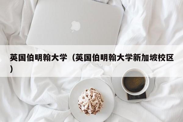 英国伯明翰大学（英国伯明翰大学新加坡校区）