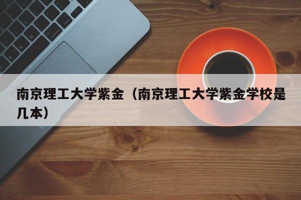 南京理工大学紫金（南京理工大学紫金学校是几本）