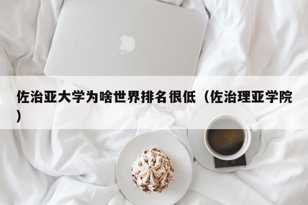 佐治亚大学为啥世界排名很低（佐治理亚学院）