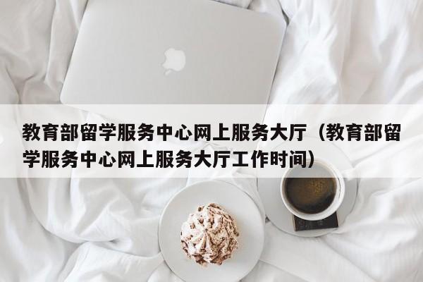 教育部留学服务中心网上服务大厅（教育部留学服务中心网上服务大厅工作时间）