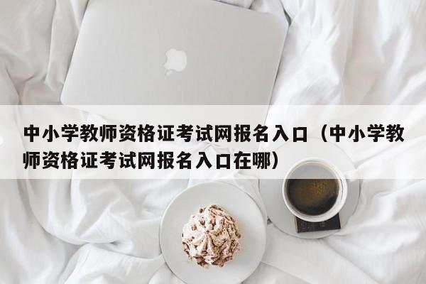 中小学教师资格证考试网报名入口（中小学教师资格证考试网报名入口在哪）