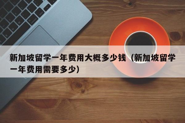 新加坡留学一年费用大概多少钱（新加坡留学一年费用需要多少）