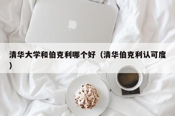 清华大学和伯克利哪个好（清华伯克利认可度）