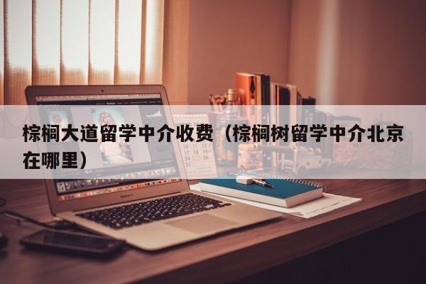 棕榈大道留学中介收费（棕榈树留学中介北京在哪里）