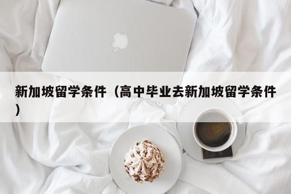新加坡留学条件（高中毕业去新加坡留学条件）
