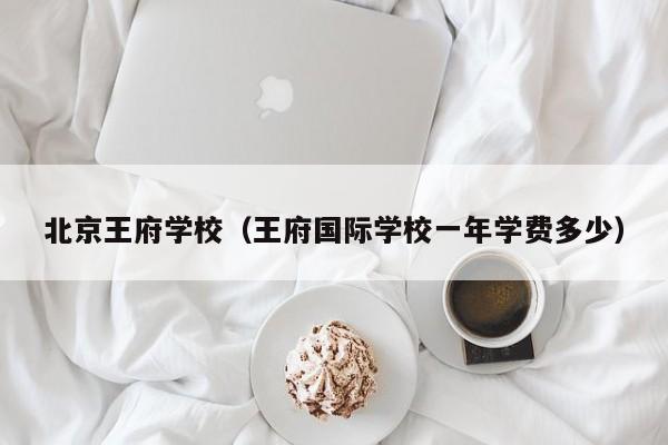 北京王府学校（王府国际学校一年学费多少）
