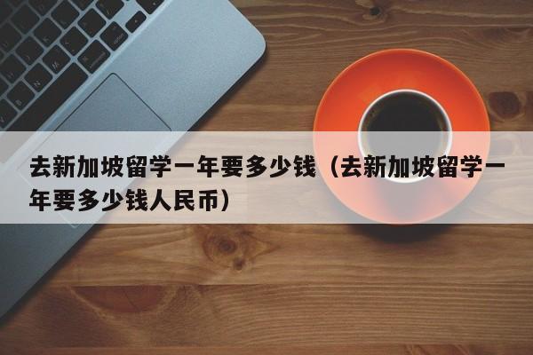 去新加坡留学一年要多少钱（去新加坡留学一年要多少钱人民币）