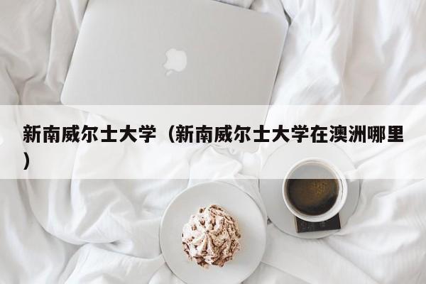 新南威尔士大学（新南威尔士大学在澳洲哪里）